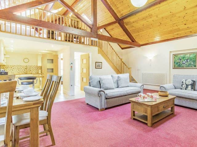 Open plan living space | Cedar Barn - Wash Farm Barns, Banham