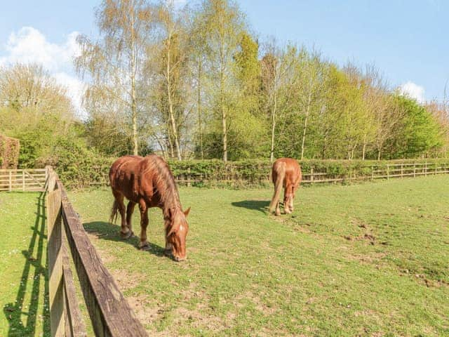 Surrounding area | Cedar Barn - Wash Farm Barns, Banham