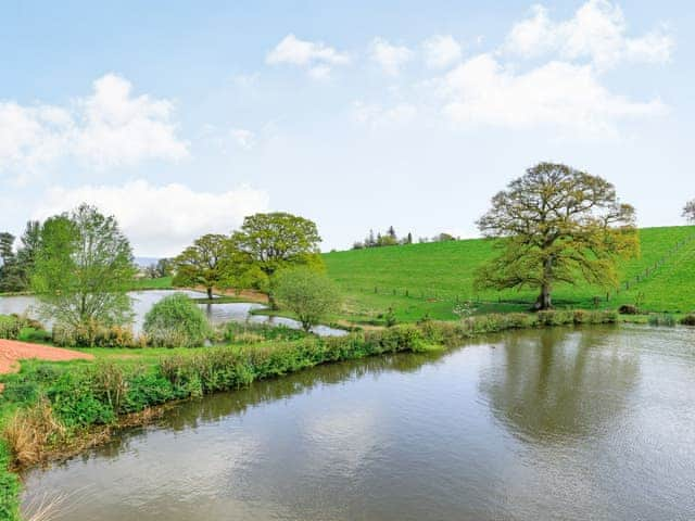 View | Goosedown Lodge - Ponsford Ponds, Knowle, near Cullompton