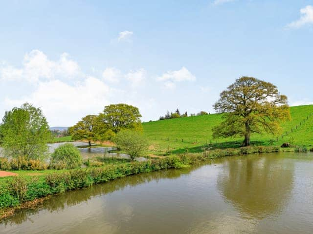 View | Goosedown Lodge - Ponsford Ponds, Knowle, near Cullompton