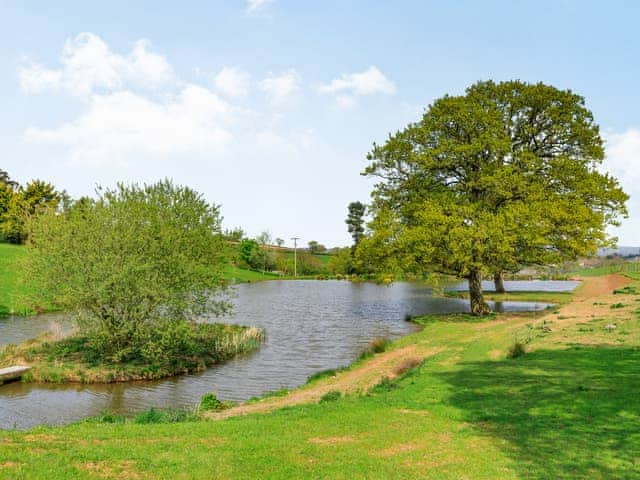 Garden and grounds | Goosedown Lodge - Ponsford Ponds, Knowle, near Cullompton