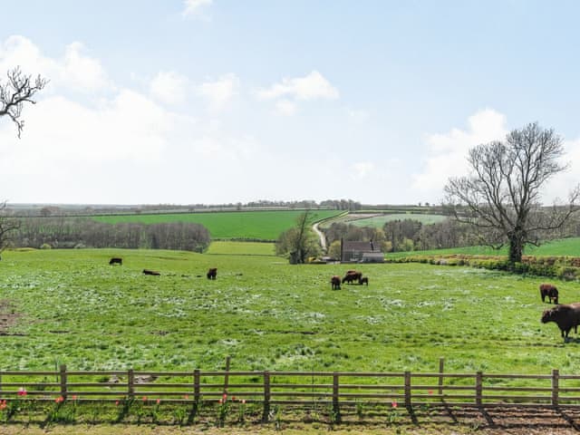 Surrounding area | Lizzie&rsquo;s Cottage, Fordington