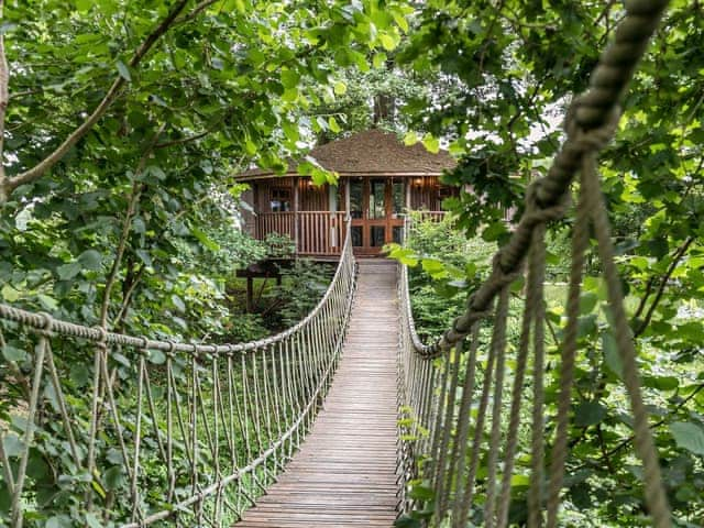 Bensfield Treehouse, Wadhurst