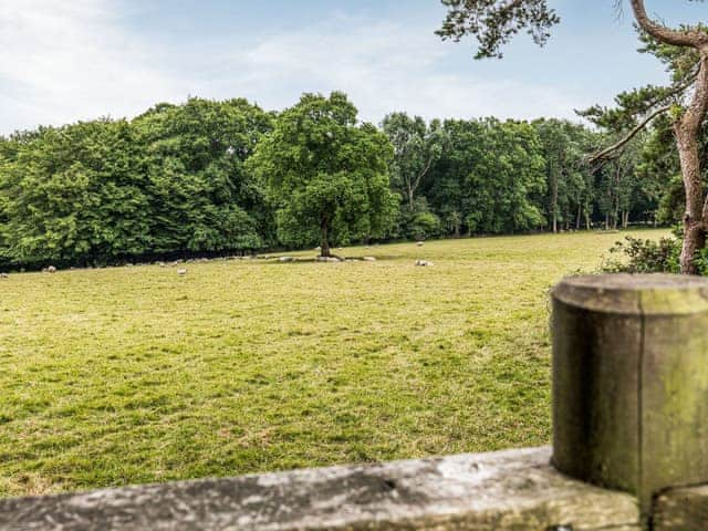 Bensfield Treehouse, Wadhurst