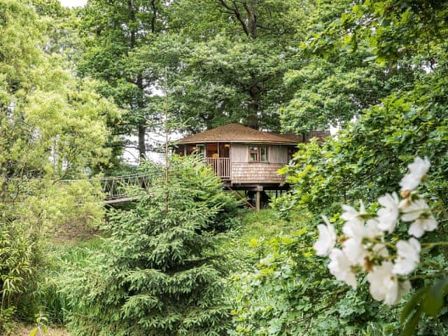 Bensfield Treehouse, Wadhurst