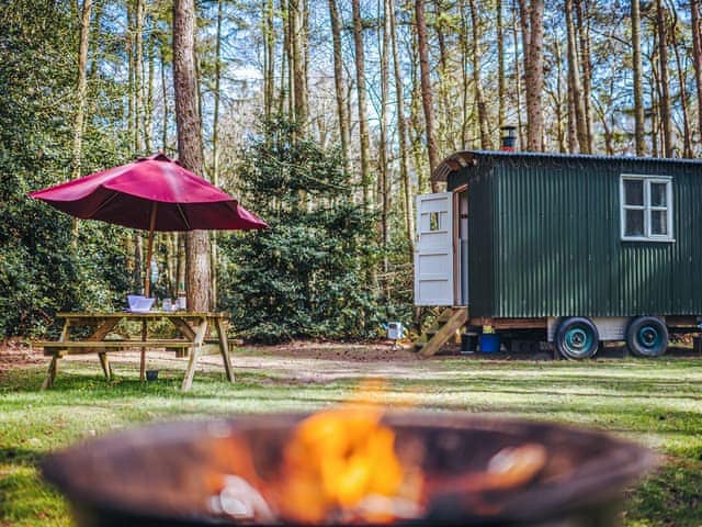 Honeysuckle Hut - Rosslyn Glamping, Melton Constable