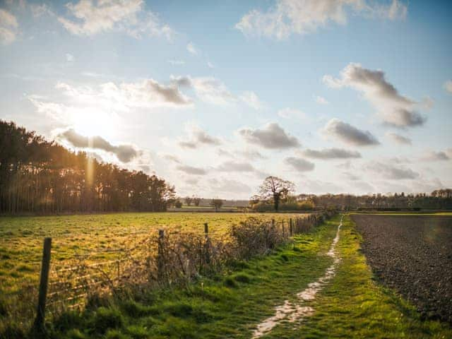 Honeysuckle Hut - Rosslyn Glamping, Melton Constable