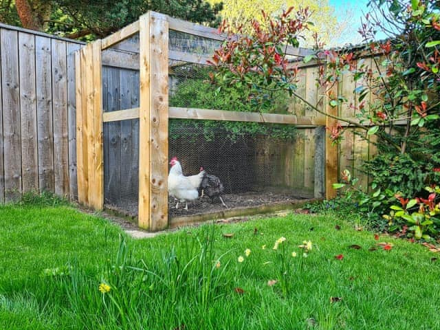 Garden | Rose Cottage, Wooley, near Hexham