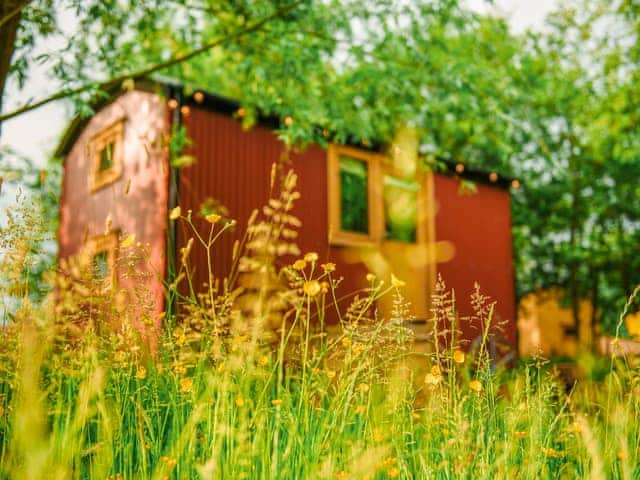 Samlesbury Hall Huts - Samlesbury Hall Glamping, Preston