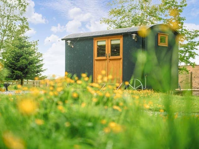 The Mutt Hut - Samlesbury Hall Glamping, Preston