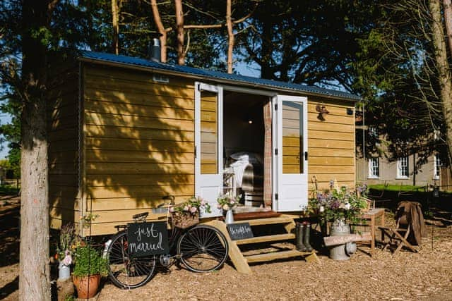 Norfolk Horn Hut - Goodwick Hall Retreats, Tittleshall, King&rsquo;s Lynn