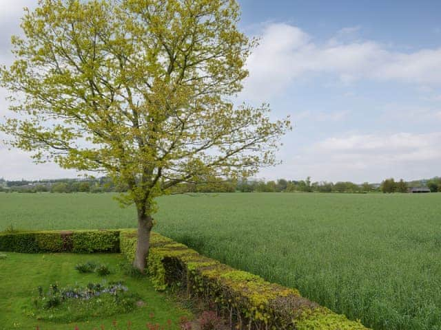 View over the garden from the first floor | Box Tree Barn, Hampton Bishop