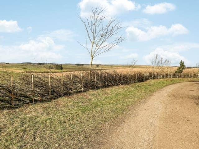 Surrounding area | Newonstead Bothy, Great Bavington