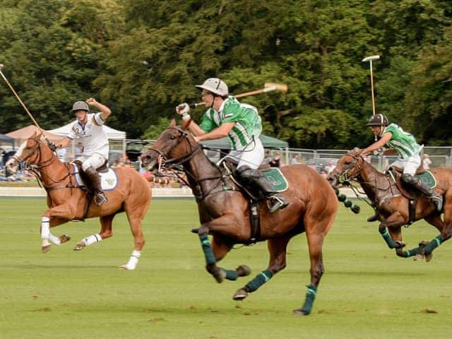 Cowdray Polo | Westwood, Petworth