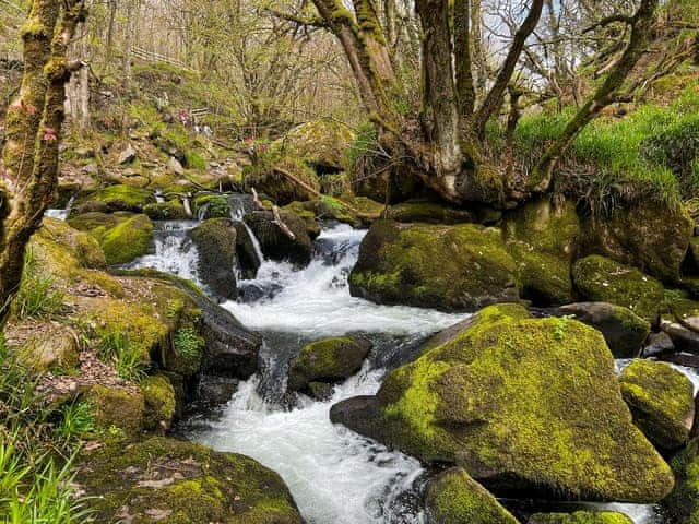 Golitha falls | Swallows Rest, East Taphouse, near Liskeard