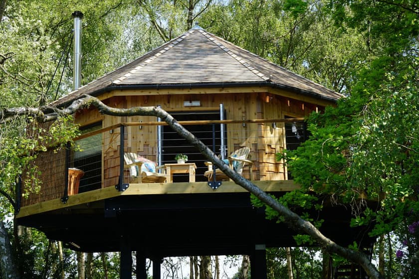 Kingfisher&rsquo;s Perch | Tree Top Hideaways, Woodhall Spa