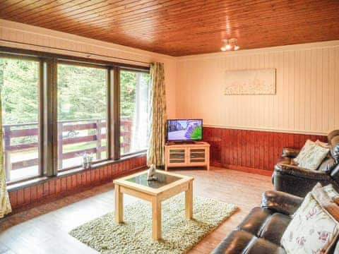 Living area | Bluebell Lodge 5 - Conifer Lodges, Newton Stewart