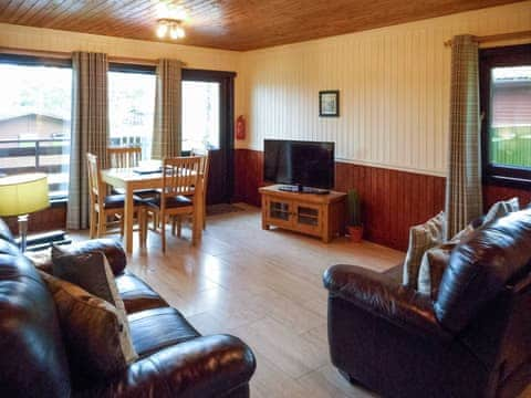 Open plan living space | Birch Lodge 22 - Conifer Lodges, Newton Stewart