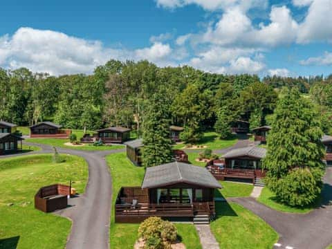 Setting | Conifer Lodges, Newton Stewart