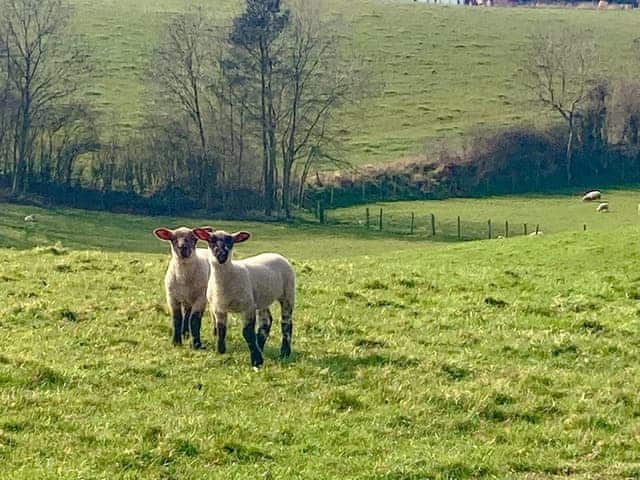 Surrounding area | Sheepfold Cottage, Eccleshall, near Stafford