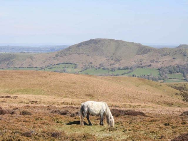 A view from the Long Mynd | Home Farm House, Dorrington, near Church Stretton