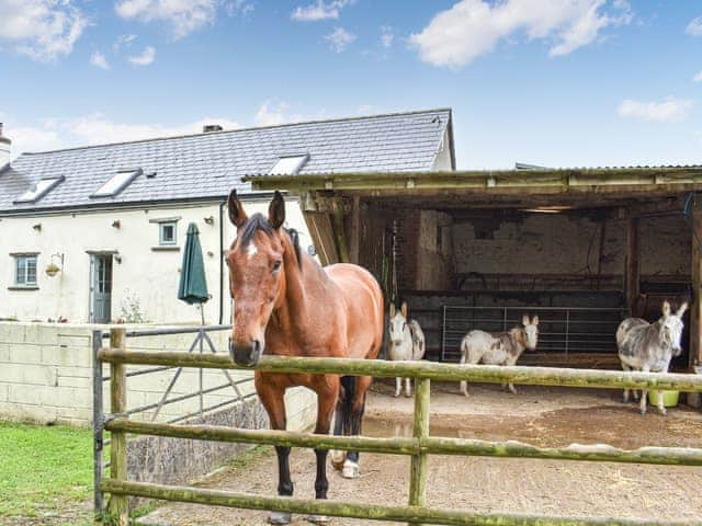 Outdoor area | The Cottage - Lower Whitsleigh Farm, Roborough, near Winkleigh