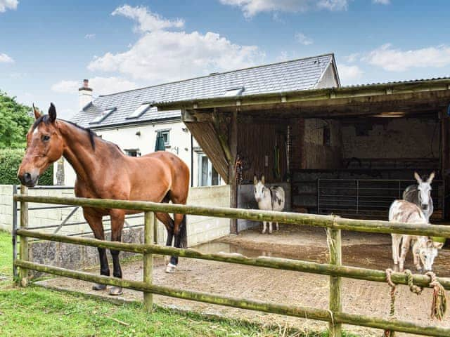 Outdoor area | The Lodge - Lower Whitsleigh Farm, Roborough, near Winkleigh