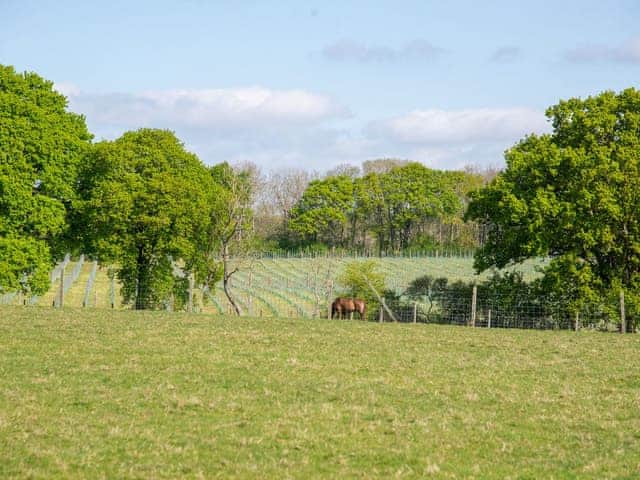 Surrounding area | Forget Me Not French Roulotte, Worthing