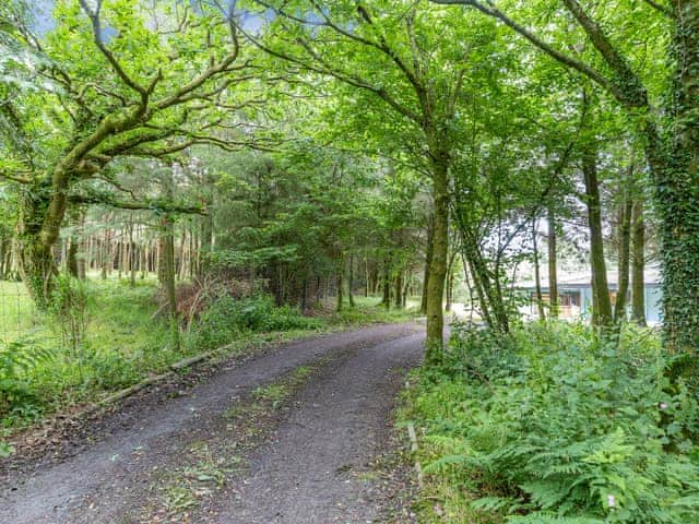 Surrounding area | Oak Lodge - Forest Lakes, Bideford