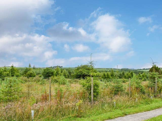 Surrounding area | The Shed, Woolsery, near Hartland- Bideford