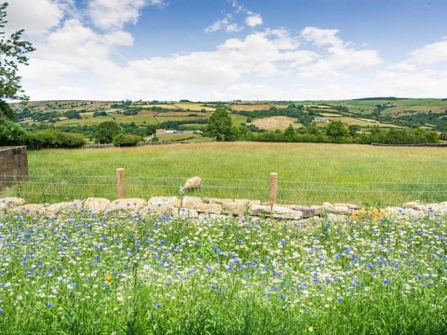 Garden | Ivylea Barn, Glaisdale