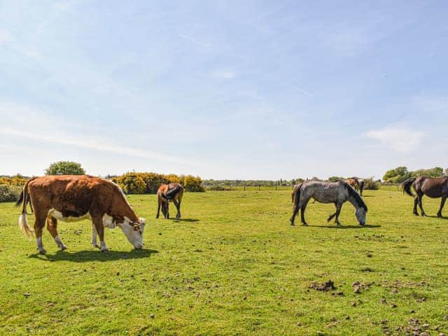 Surrounding area | Greenbank Cottage, Burley