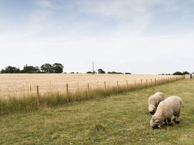 View | Gorstage Meadows, Gorstage