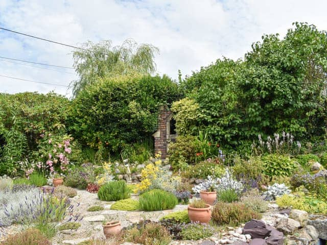 Garden | Tinners Gate, Crows Nest, near Liskeard