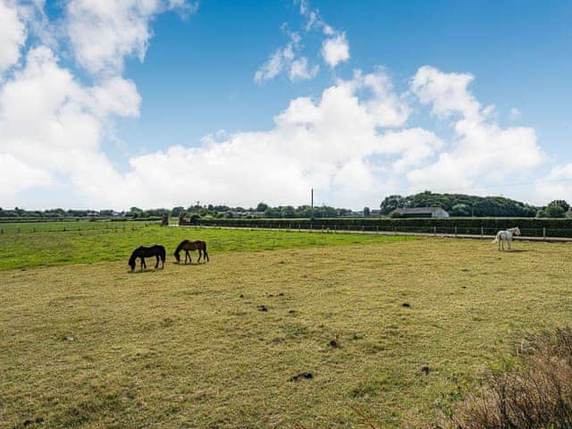 View | One - Ivy Farm, Lytham