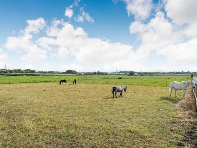 View | One - Ivy Farm, Lytham