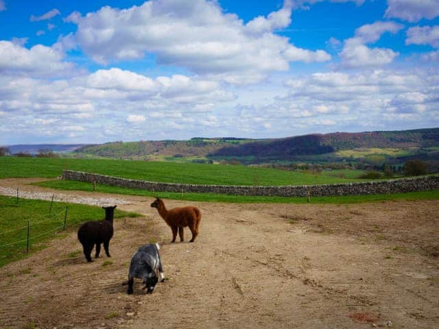 Setting | Burton Manor Farm, Bakewell