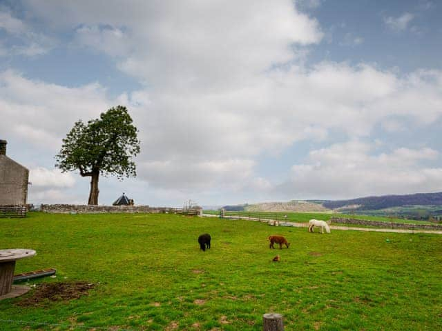 Setting | Burton Manor Farm, Bakewell