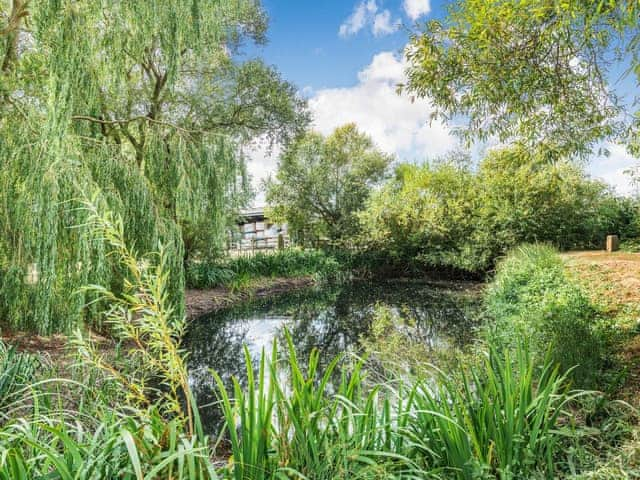 Setting | The Kingfisher - Longwool Shepherds Huts, Old Woodhall