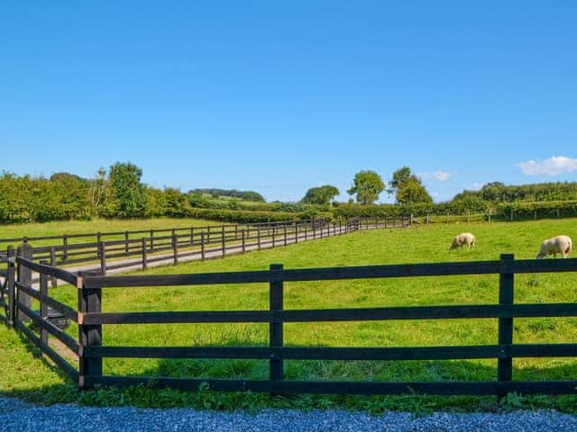 Garden and grounds | Fieldside Farmhouse, Dovenby, Cockermouth