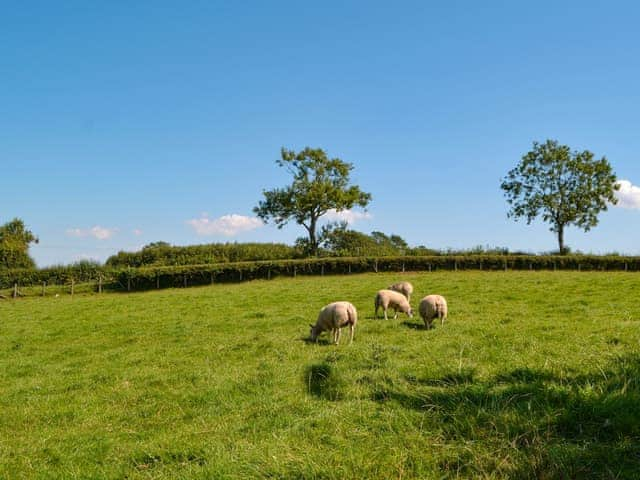 Surrounding area | Fieldside Farmhouse, Dovenby, Cockermouth