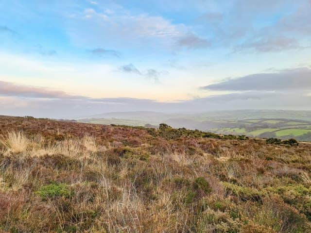 Dunkery Beacon, Exmoor | Chipley EscapesOtters Holt, Langford Budville, near Wellington