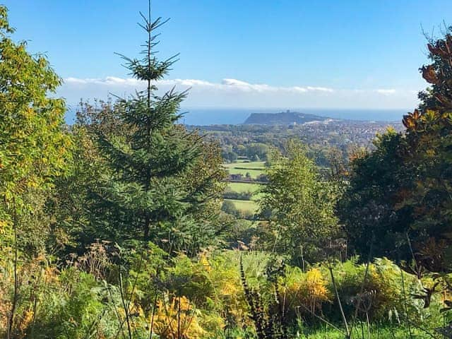 Views from the forest to the rear of Cloughton | Olivers View, Cloughton, near Scarborough