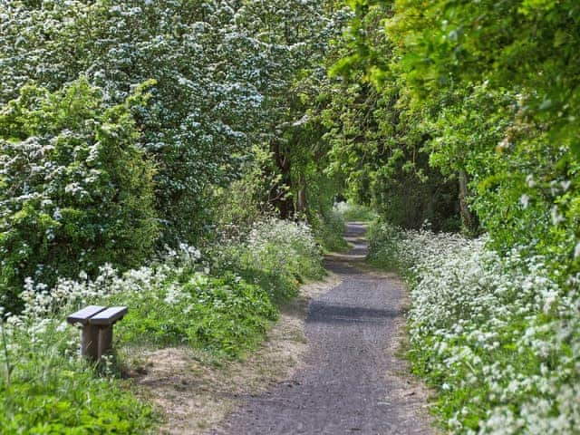 Stunning scenery | Olivers View, Cloughton, near Scarborough