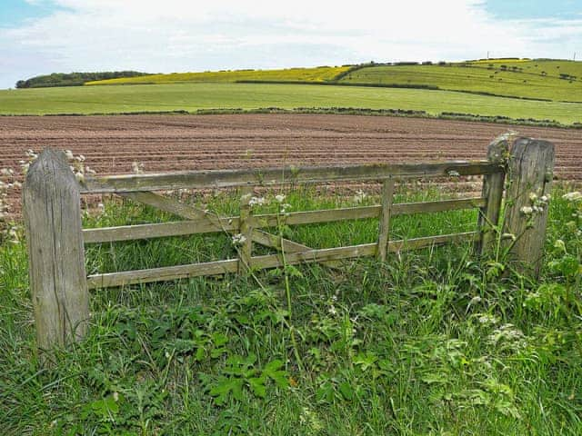 Stunning scenery | Olivers View, Cloughton, near Scarborough