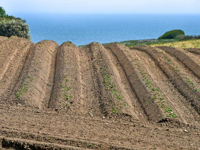 Stunning scenery | Olivers View, Cloughton, near Scarborough