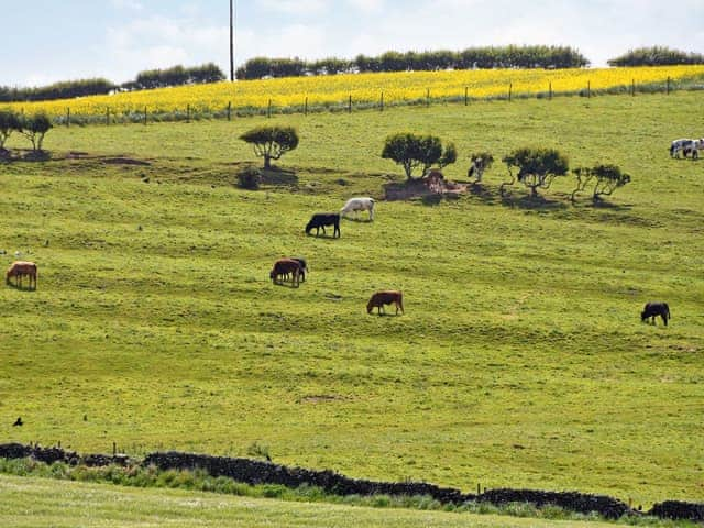 Stunning scenery | Olivers View, Cloughton, near Scarborough