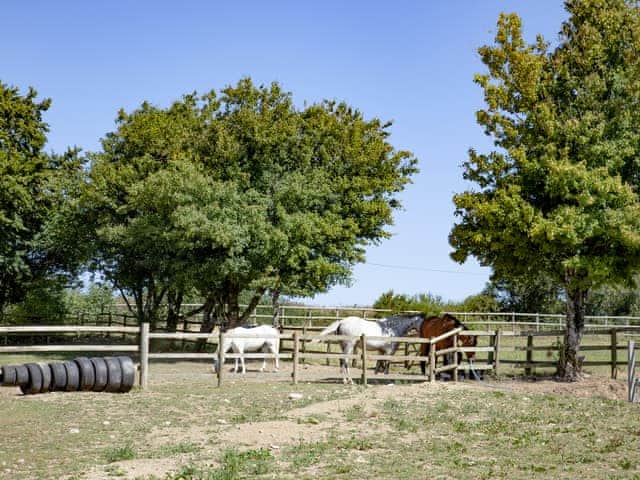 Paddocks you can walk through | Four Seasons Cottage, Torrington