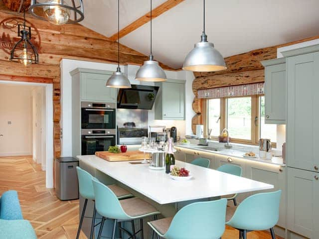 Kitchen area | Frankaborough Lodge - Frankaborough, Lifton