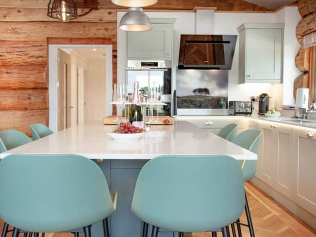 Kitchen area | Frankaborough Lodge - Frankaborough, Lifton